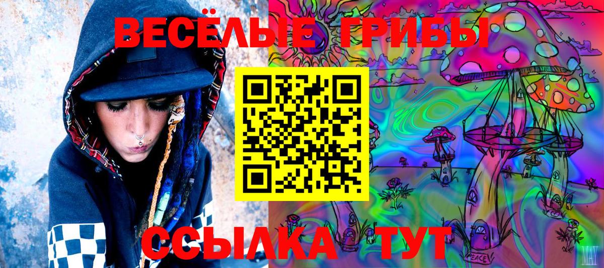 Красноуфимск  Галлюциногенные грибы Psilocybine cubensis  Псилоцибиновые грибы MAGIC MUSHROOMS  Вход с VPN 