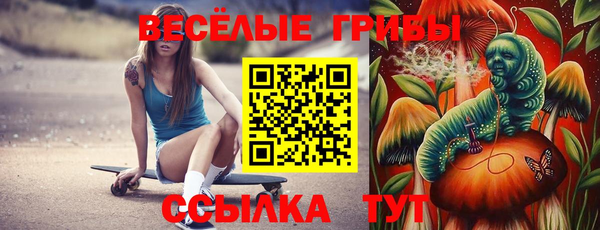 Псилоцибиновые грибы Psilocybine cubensis Красноуфимск